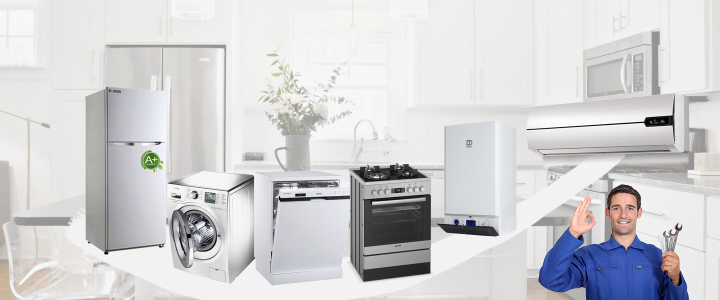 Çine Daikin Servisi